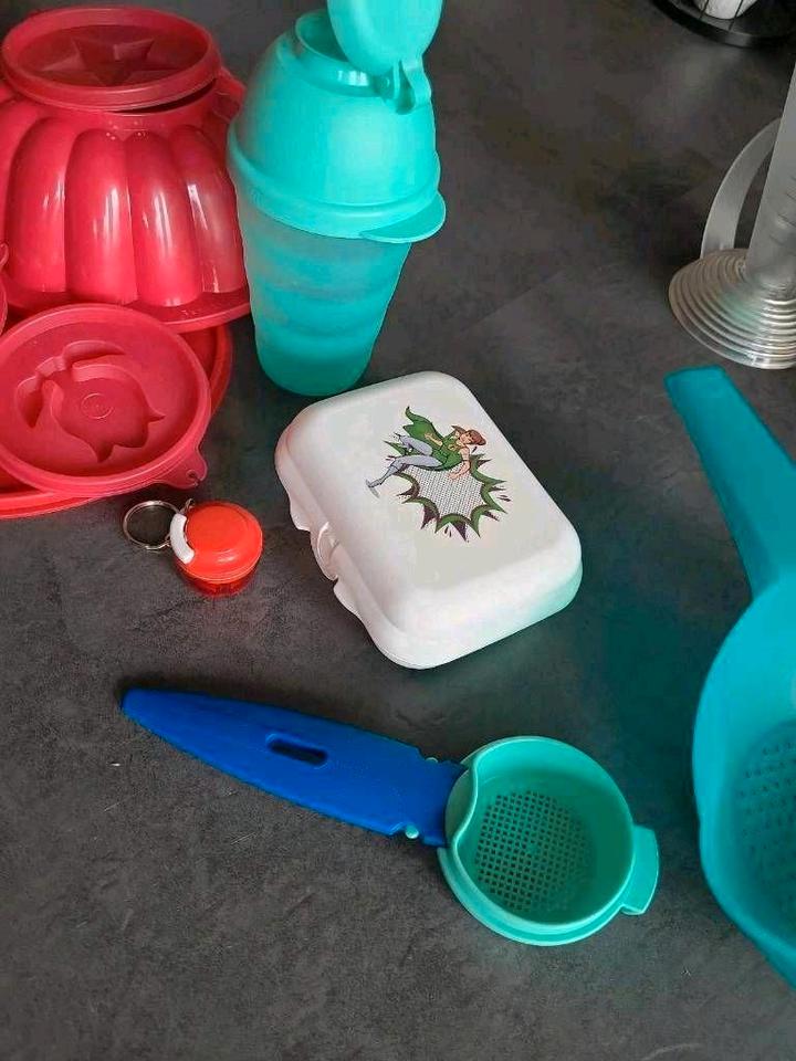 Tupperware Goldregen, Rucki Zucki, Kleiner Prinz, Maßtrichter... in Kempen