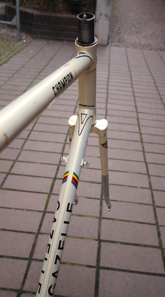 Gazelle Champion Reynolds 531 Frame / 57 cm / Ivory / Campagnolo in Berlin