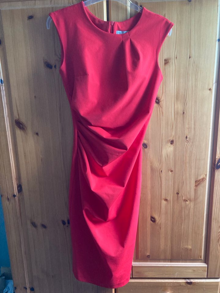 Rinascimento Kleid in Rosendahl