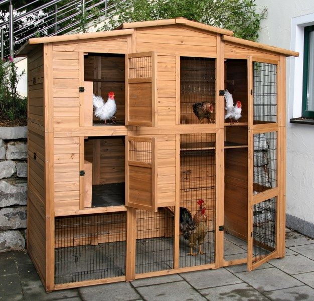 Hühnerhaus grosser Hühnerstall Hühnergehege Stall für Hühner in Neumünster
