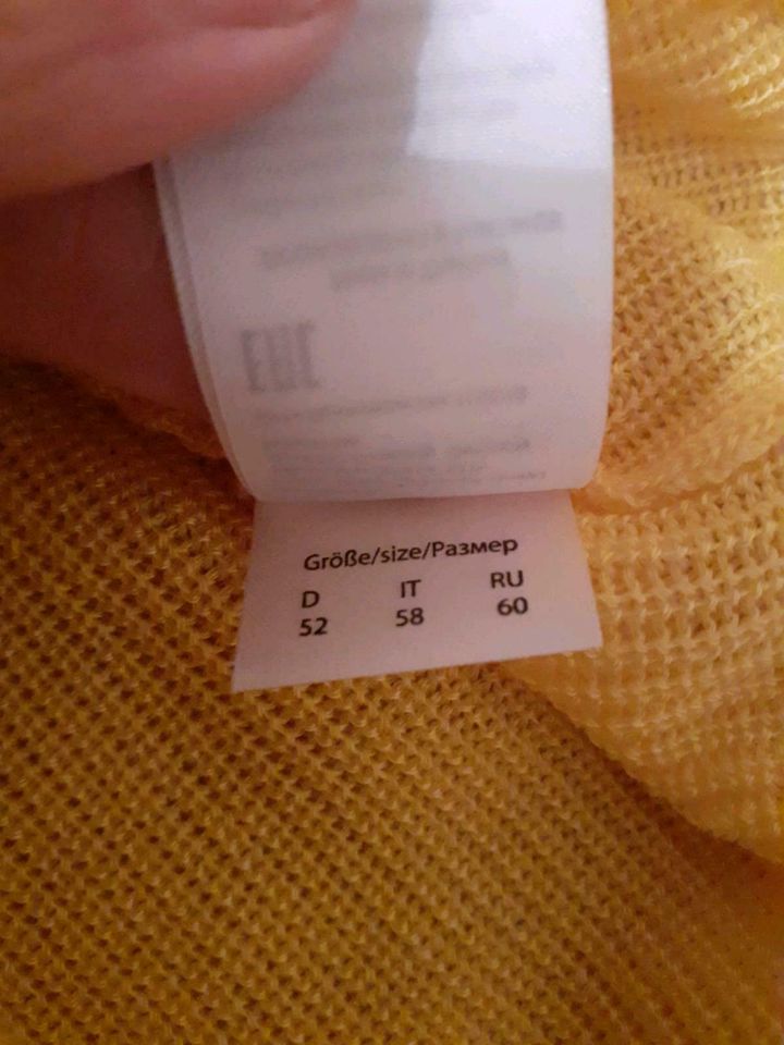 Damen Strickpullover Größe 52 in Freital