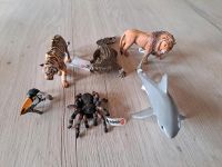 Schleich Wildlife Tiger Löwe Hai Spinne Tukan Krokodil Thüringen - Stotternheim Vorschau