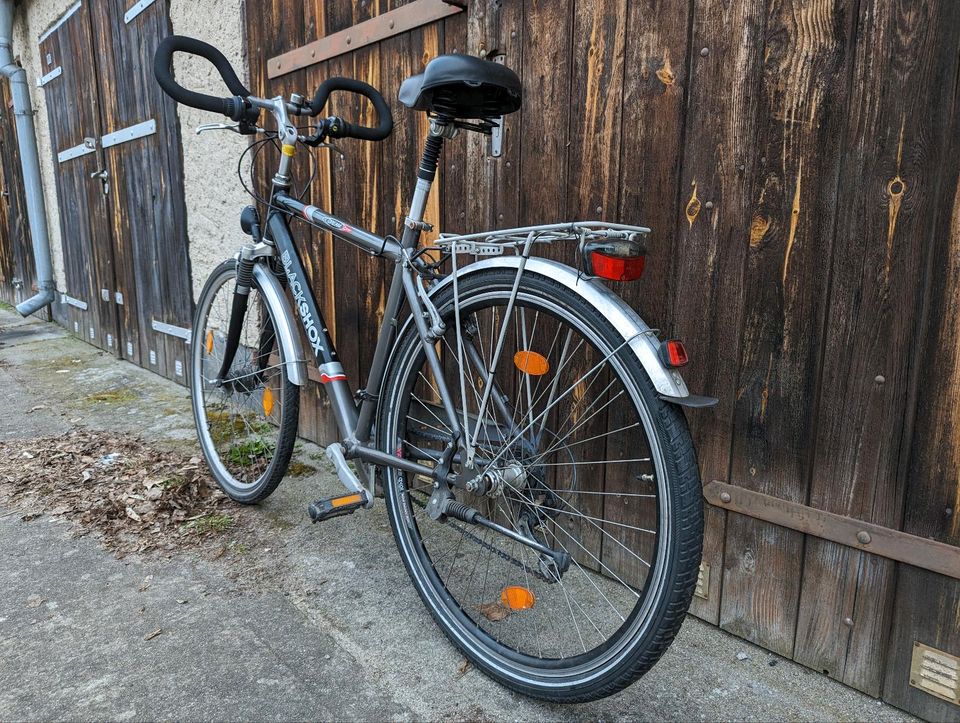 Trekkingfahrrad Herren 28 Zoll in Eisenhüttenstadt