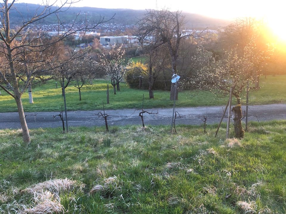 Grundstück Gartengrundstück zwischen Schorndorf und Winterbach in Göppingen