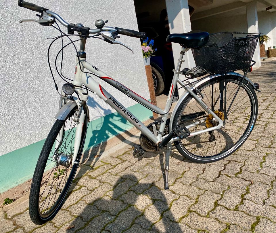 Fahrrad Pegasus Treckking Torino TOP GEPFLEGT in Waldaschaff