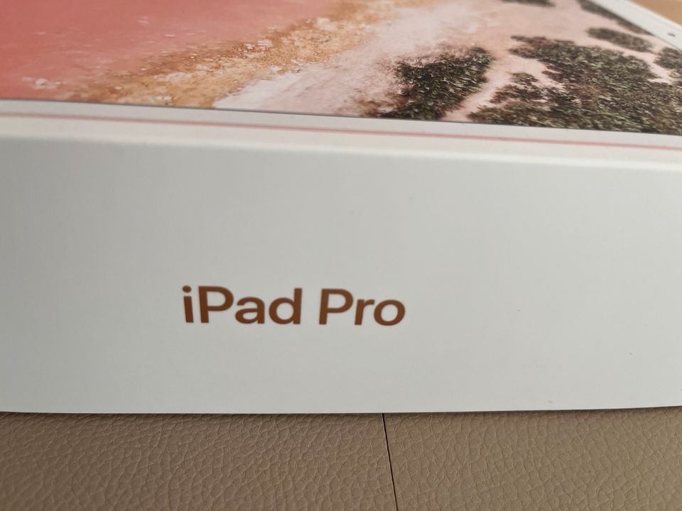 iPad Pro (10,5 Zoll) 64GB in Albachten