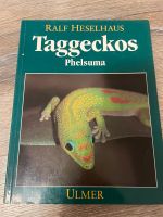 Taggeckos von Hesselhaus Niedersachsen - Lehre Vorschau