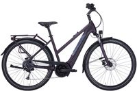 Pegasus Solero Evo 9 Trekking e-Bike !STARK REDUZIERT! Niedersachsen - Meppen Vorschau