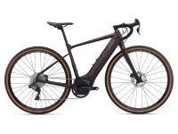 Giant Revolt E+ Pro Rahmenhöhe L  Rosewood Neu UVP 5399,00 Häfen - Bremerhaven Vorschau