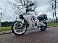 Honda cbr 600 pc25 lesen ‼️‼️‼️ Sachsen-Anhalt - Bitterfeld Vorschau