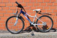 24 Zoll Kinderfahrrad  "Bergsteiger Verona" Nordrhein-Westfalen - Waltrop Vorschau