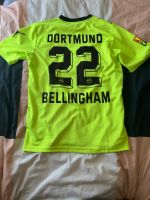 Bvb trikot bellingham Sachsen-Anhalt - Halle Vorschau