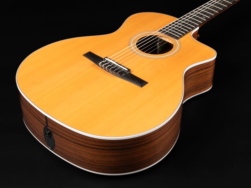 2021 Taylor 214ce-N | Crossover Konzertgitarre Nylon Pickup Cut in Niebüll