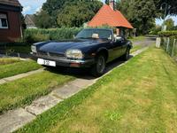 Jaguar XJS V12 Cabriolet Oldtimer Schleswig-Holstein - Achterwehr Vorschau