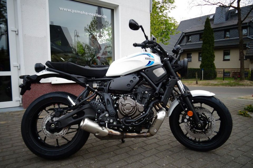 Yamaha XSR 700 in Neuenhagen