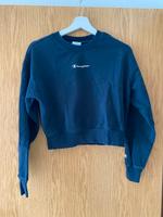 Crop Pullover Champion Hessen - Nidda Vorschau