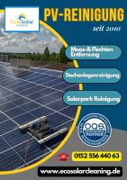 Moos- und Flechtenentfernung Ökologische PV- & Solarreinigung Bayern - Windischeschenbach Vorschau