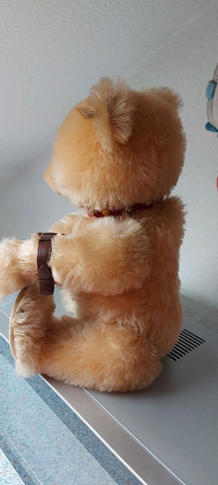 Watch Teddy Bär von Steiff in Duisburg