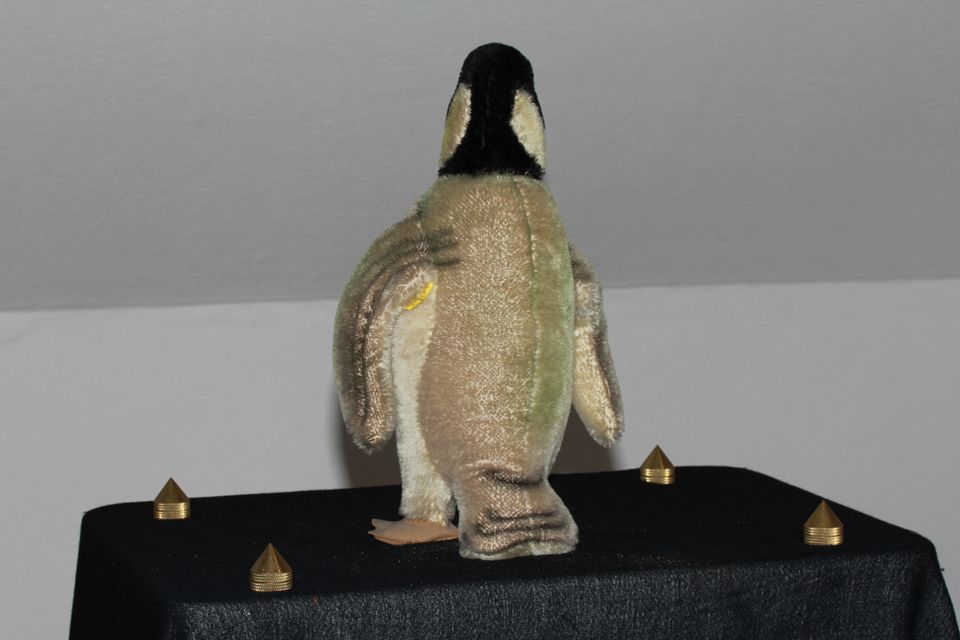 Großer (35cm) Steiff Pinguin - KFS in Westoverledingen