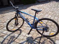 Fahrrad Trecking Bike Giant Roam blau metallic wie neu nur 100km Brandenburg - Eberswalde Vorschau