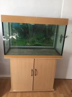 Aquarium mit Unterschrank und viel Zubehör Rheinland-Pfalz - Neustadt an der Weinstraße Vorschau