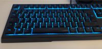 Razer Ornata Chroma Tastatur Sachsen-Anhalt - Magdeburg Vorschau