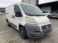 Fiat Ducato 2.2 JTD Kasten+AHK Schleswig-Holstein - Kisdorf Vorschau