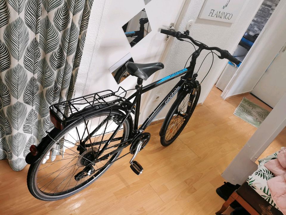 Herren Fahrrad 28 Zoll Alu Prophete Entdecker 1.3 in Berlin