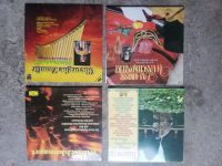 Doppel LP Set 8 Schallplatten Klassische Melodien, Panflöte etc. Rheinland-Pfalz - Callbach Vorschau