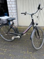 Kreidler Damenfahrrad 28" Nordrhein-Westfalen - Leverkusen Vorschau