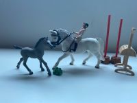 Schleich Set mit Fohlen und Zubehör Rheinland-Pfalz - Erdesbach Vorschau