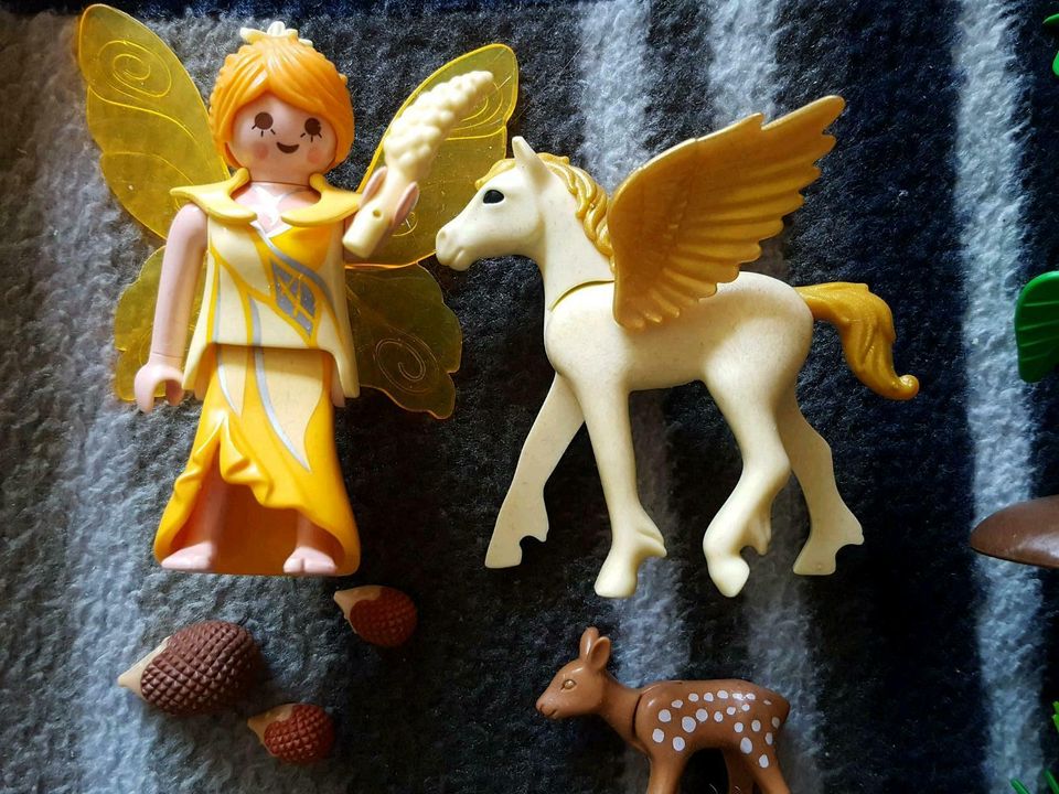 10€ Playmobil 5353 Princess Waldfee Pegasus in Ginsheim-Gustavsburg