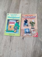 Bastelbücher Serviettentechnik Moosgummi je 1 Euro Niedersachsen - Hohenhameln Vorschau