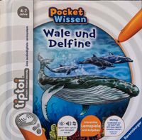 Tiptoi Buch Pocketwissen "Wale und Delfine" Nordrhein-Westfalen - Altenbeken Vorschau