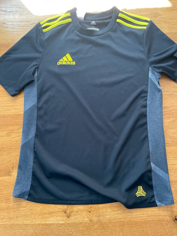 Sport Shirt Adidas 164 in Sankt Augustin