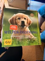 Welpen Erziehung Buch Erziehung Hunde Baden-Württemberg - Schluchsee Vorschau