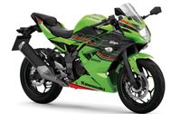 Kawasaki Ninja125  (Modell 2024) inkl. 4 Jahren Garantie! Nordrhein-Westfalen - Lennestadt Vorschau