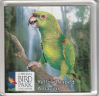Kühlschrankmagnet  Magnet Jurong Bird Park Singapur Singapore Nordrhein-Westfalen - Remscheid Vorschau