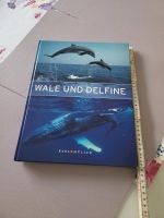 Buch Wale und Delphine Bremen - Schwachhausen Vorschau