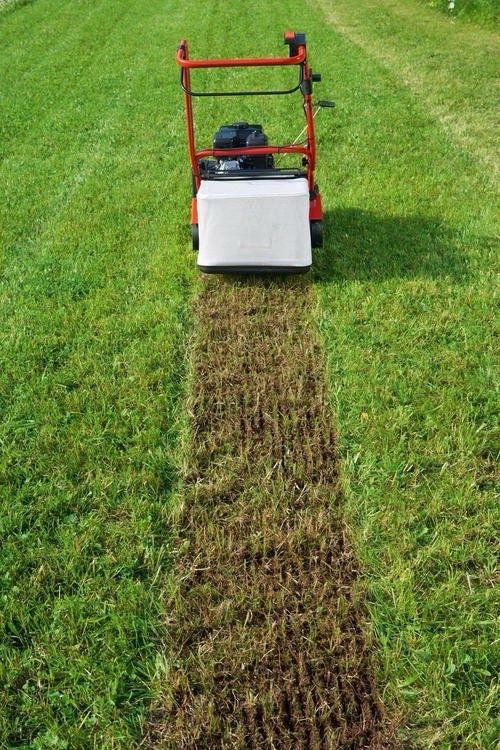 Gartenarbeit in Stade