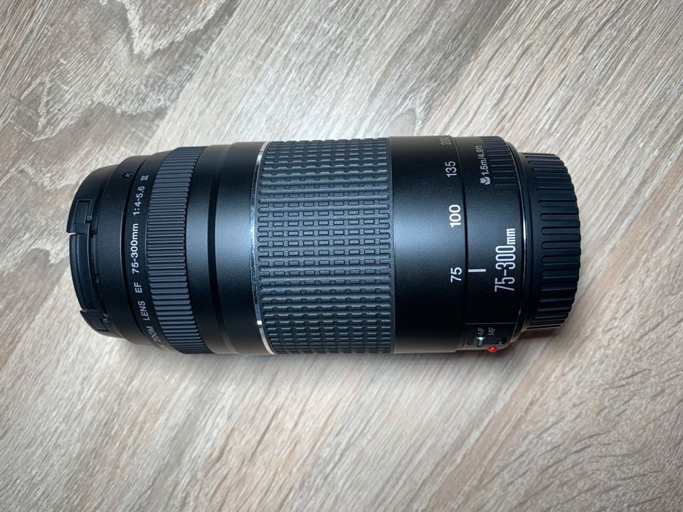 Canon EF 75-300 f4-5.6 III in Bruchsal