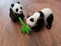 Playmobil Tier Pandabären Pandas Bambus Bayern - Bayreuth Vorschau