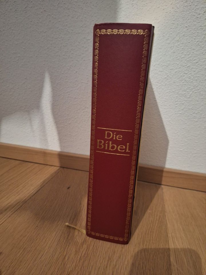 Bibel gold/rot in Baar-Ebenhausen