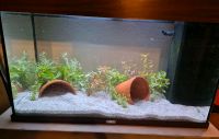 Juwel Aquarium 80x50x35 Leipzig - Lausen-Grünau Vorschau