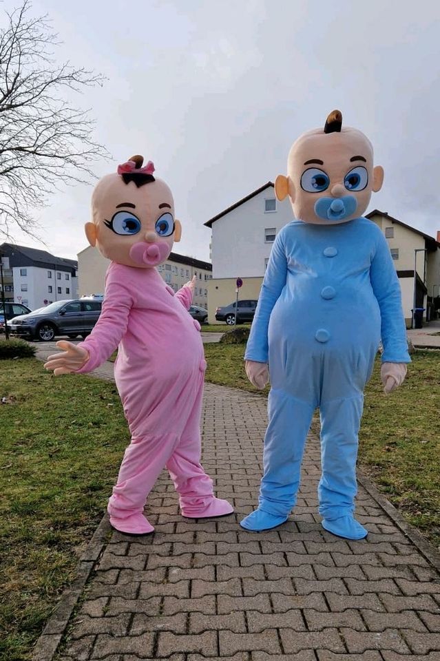 Maskottchen Babys/Kostüme  Gender Reveal Party.Verleih nur 35 €. in Ehingen (Donau)