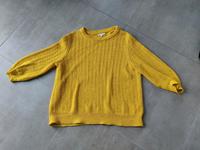 Frühjahrs Pulli OPUS Gr.40 gelb Nordrhein-Westfalen - Kempen Vorschau