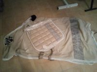 Eskadron Glitter Mesh beige Nordrhein-Westfalen - Coesfeld Vorschau