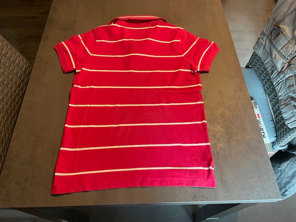 Tommy Hilfiger Polohemd Poloshirt T-Shirt Orginal M in Bovenden