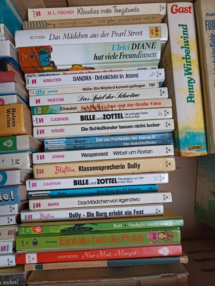 Alte Kinder und Jugendbücher in Otterndorf