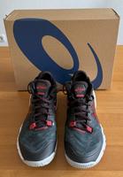 Schuhe Turnschuhe asics Metarise Men black / electric red Gr. 42 Hessen - Wetzlar Vorschau